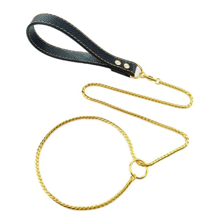 Integrated Dog Slip Chain Collar Leash 304 Stainless Steel Dog Metal Choke Collar Pet Training Leash Show with Leather Handle