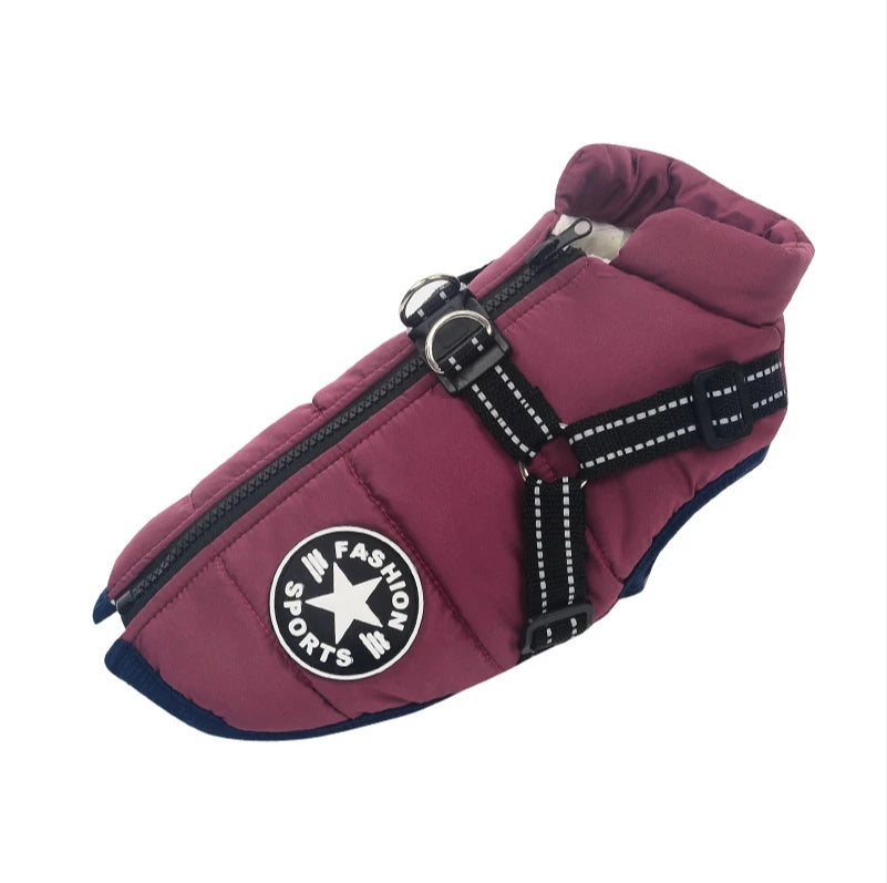 Pet Dog Jacket With Harness Winter Warm Dog Clothes For Labrador Waterproof Small Dog Coat Chihuahua French Bulldog Outfits - rarefrenchies 
