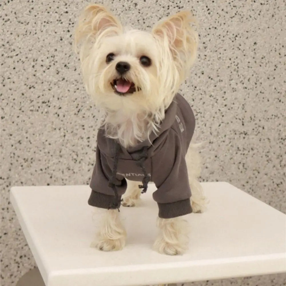 Essentials Dog Sweater - rarefrenchies 