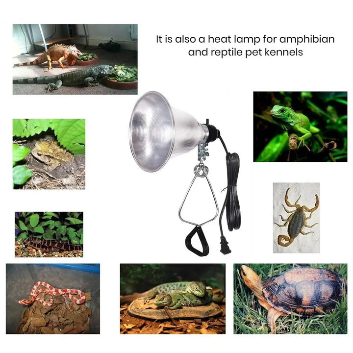 Reptile Heat Lamp with Aluminum Reflector, Clamp Light, Table Lamp, Terrarium, Indoor Grow Light, US Plug, 300W - rarefrenchies 
