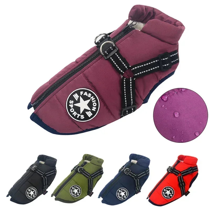 Pet Dog Jacket With Harness Winter Warm Dog Clothes For Labrador Waterproof Small Dog Coat Chihuahua French Bulldog Outfits - rarefrenchies 