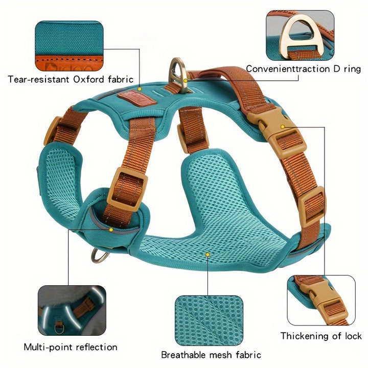 High-Quality Pet Chest Harness - rarefrenchies 