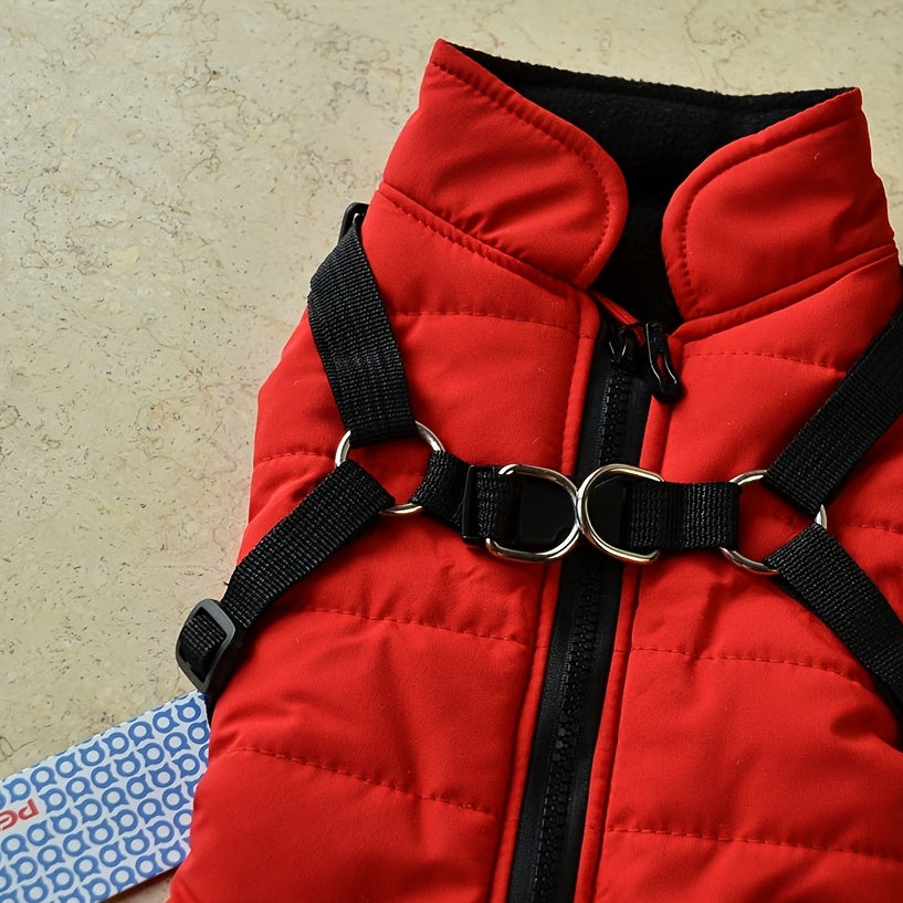 Padded Dog Vest with Harness for Small and Medium Dogs - rarefrenchies 