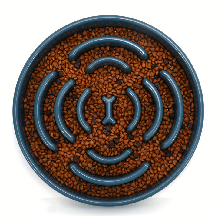 Ruicyg Interactive Dog Feeder - Slow Feed Puzzle Bowl for Healthy Eating - rarefrenchies 
