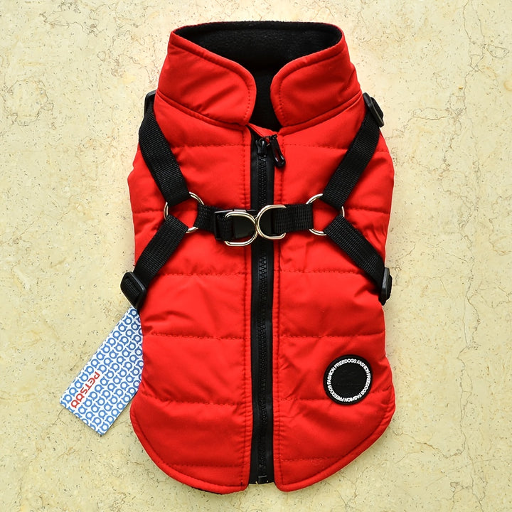 Padded Dog Vest with Harness for Small and Medium Dogs - rarefrenchies 