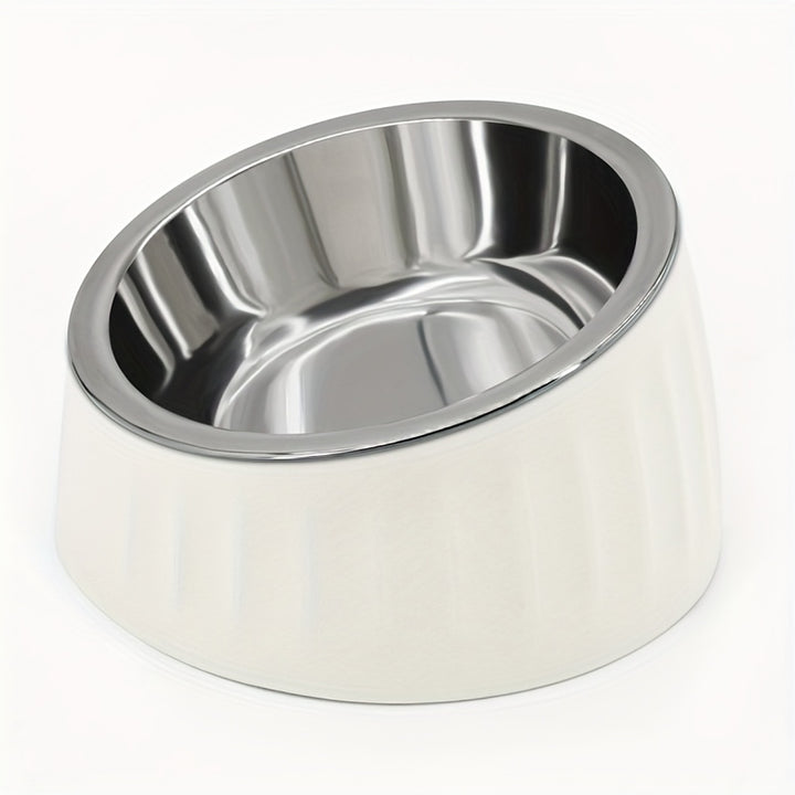 Slanted Stainless Steel Dog Cat Food Bowl - rarefrenchies 