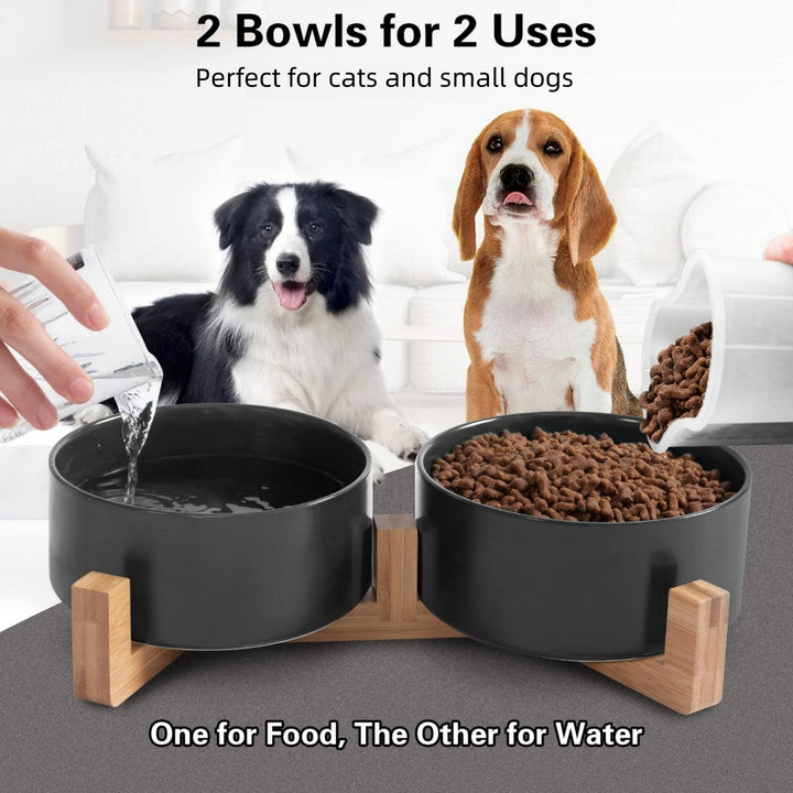 Ceramic Double Pet Food Bowl for Cats and Dogs - rarefrenchies 