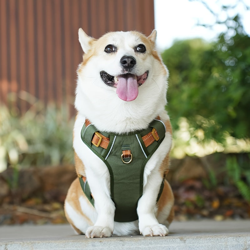 High-Quality Pet Chest Harness - rarefrenchies 