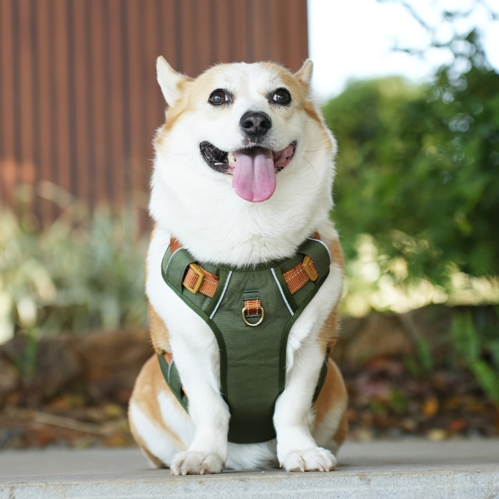 High-Quality Pet Chest Harness - rarefrenchies 