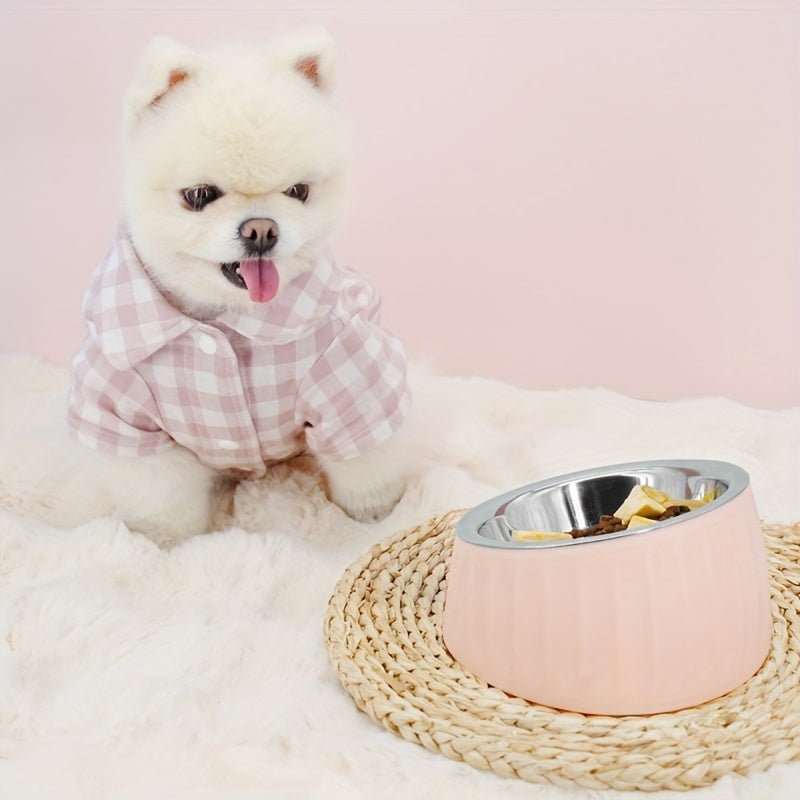 Slanted Stainless Steel Dog Cat Food Bowl - rarefrenchies 