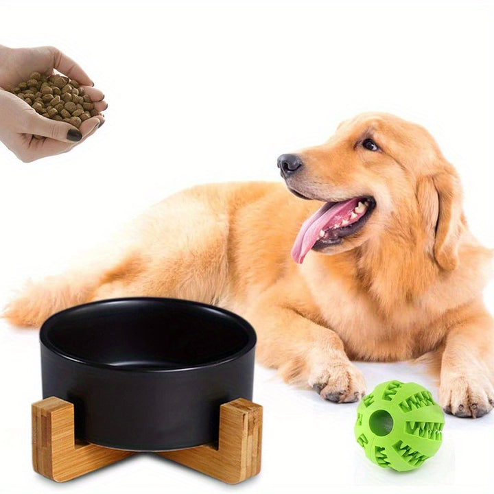 Elevated Pet Bowls with Stand, Ceramic Dog Bowl for Food & Water - rarefrenchies 