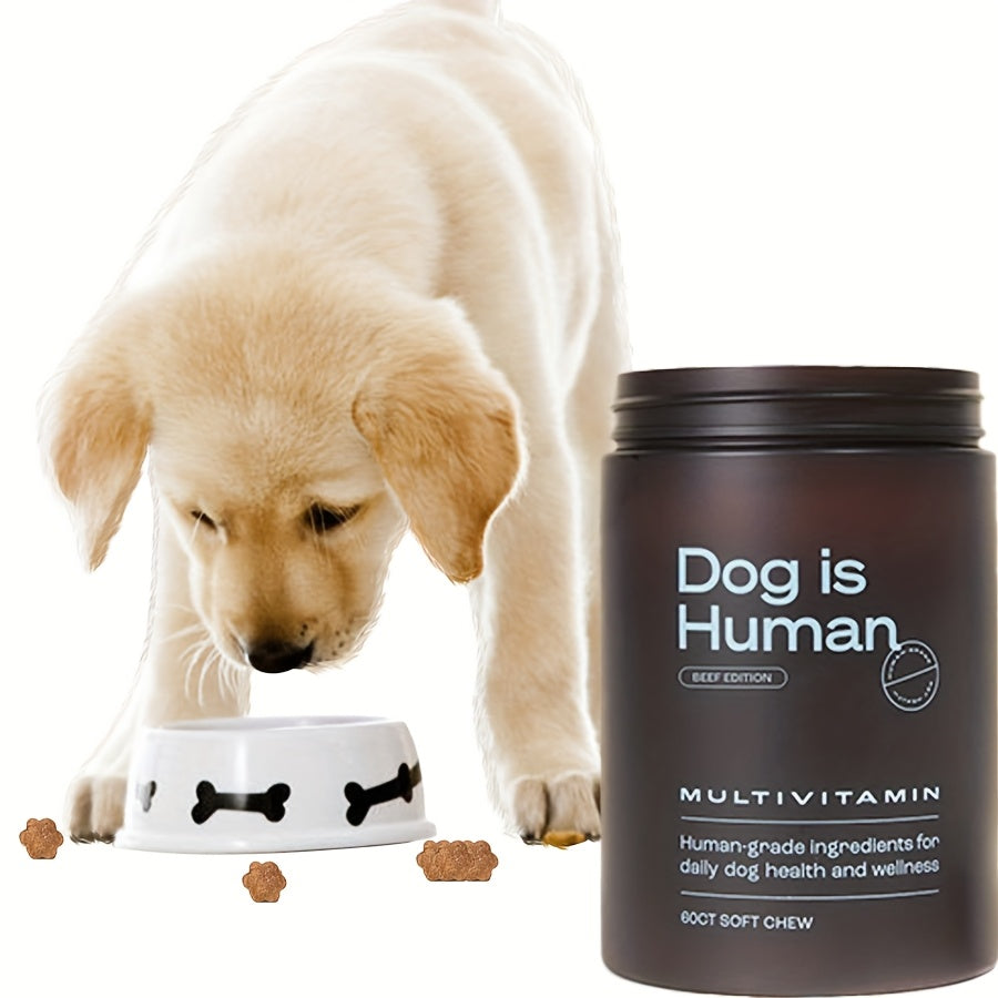 Dog Is Human Daily Multivitamin For Dogs | Beef Flavor 60 Tablets Coat Health + Immune Support Protects 5 Major Health Dimensions In One Can
