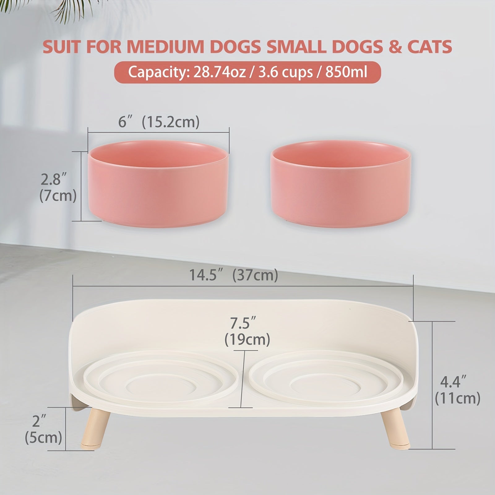 Modern Double Bowl Elevated Feeder - rarefrenchies 