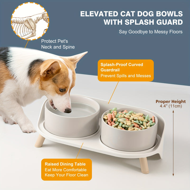 Modern Double Bowl Elevated Feeder - rarefrenchies 