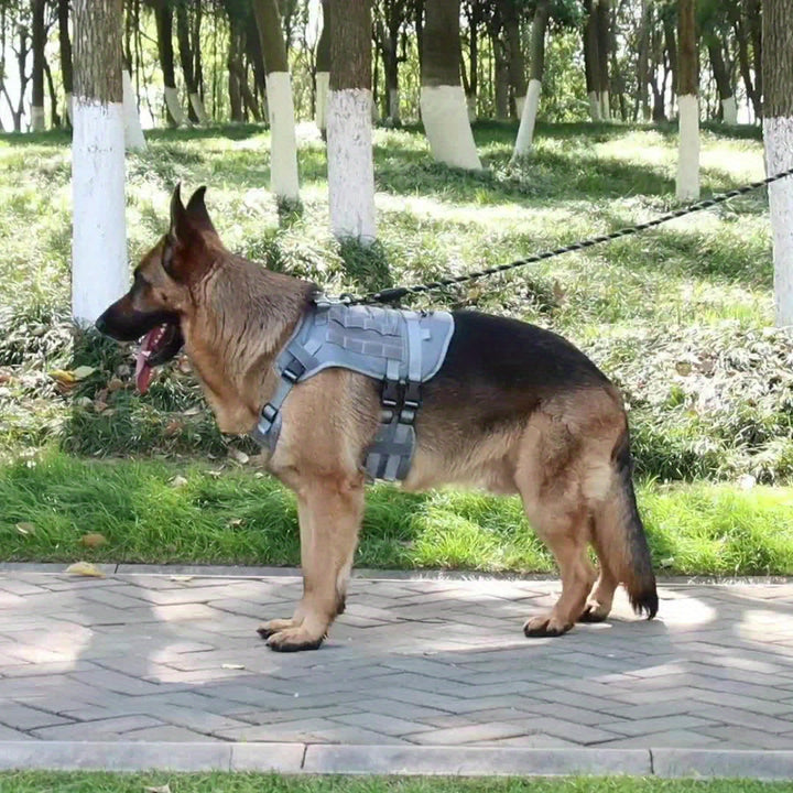 Tactical Dog Harness - rarefrenchies 