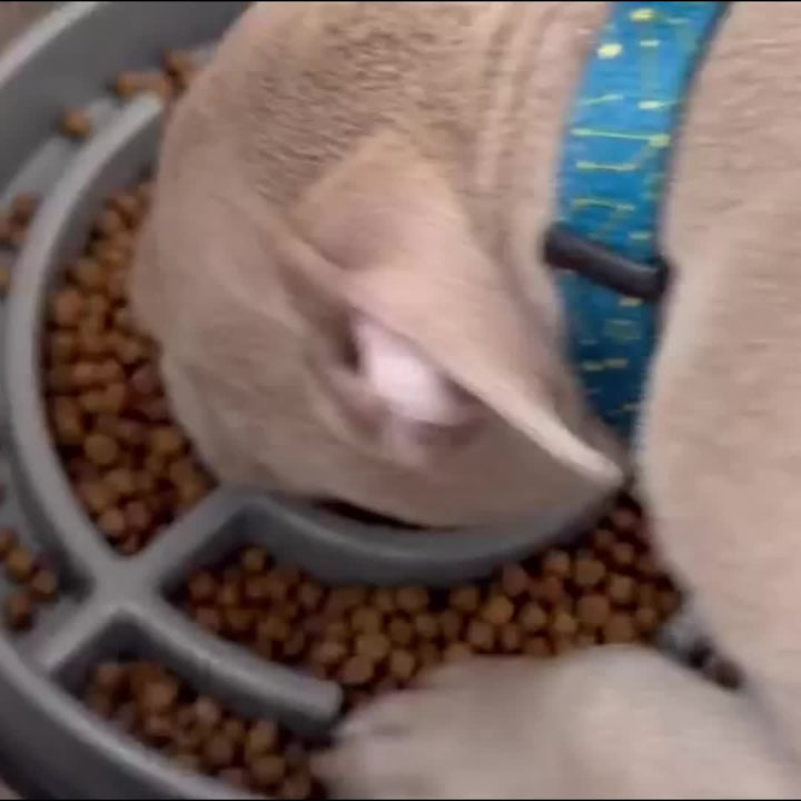 Ruicyg Interactive Dog Feeder - Slow Feed Puzzle Bowl for Healthy Eating - rarefrenchies 