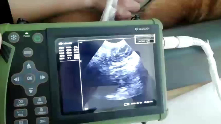 Portable Vet Ultrasound Machine For Pregnancy Veterinary Ultrasound Scanner With 3.5Mhz Convex Probe For Dog, Cat, Goat, Pig... - rarefrenchies 