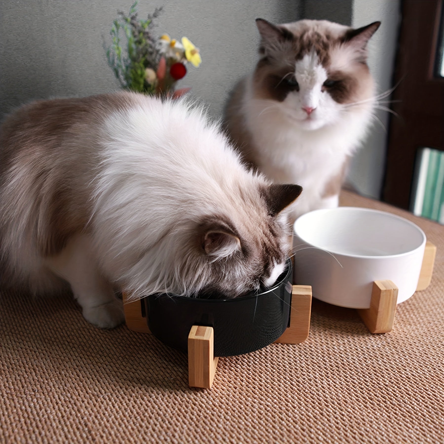 Ceramic Double Pet Food Bowl for Cats and Dogs - rarefrenchies 