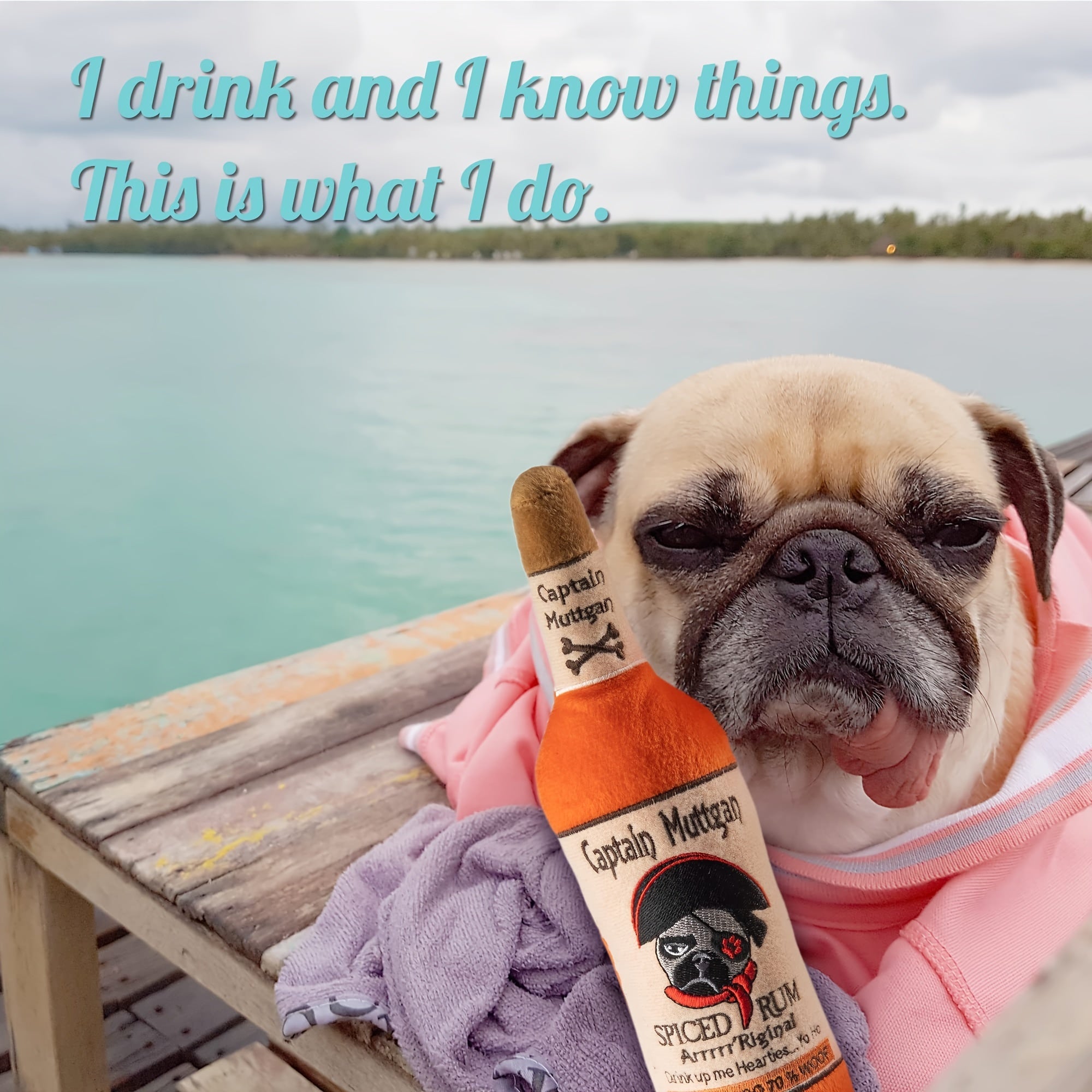 Captain For Morgan Squeaky Plush Dog Toy - rarefrenchies 
