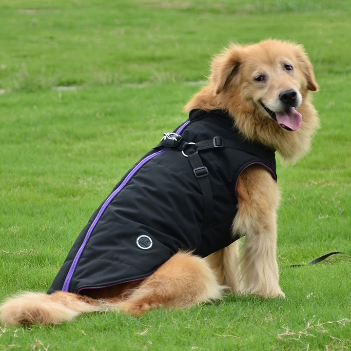 Padded Dog Vest with Harness for Small and Medium Dogs - rarefrenchies 