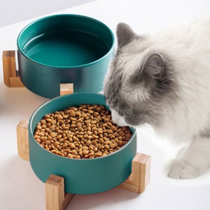 Elevated Pet Bowls with Stand, Ceramic Dog Bowl for Food & Water - rarefrenchies 