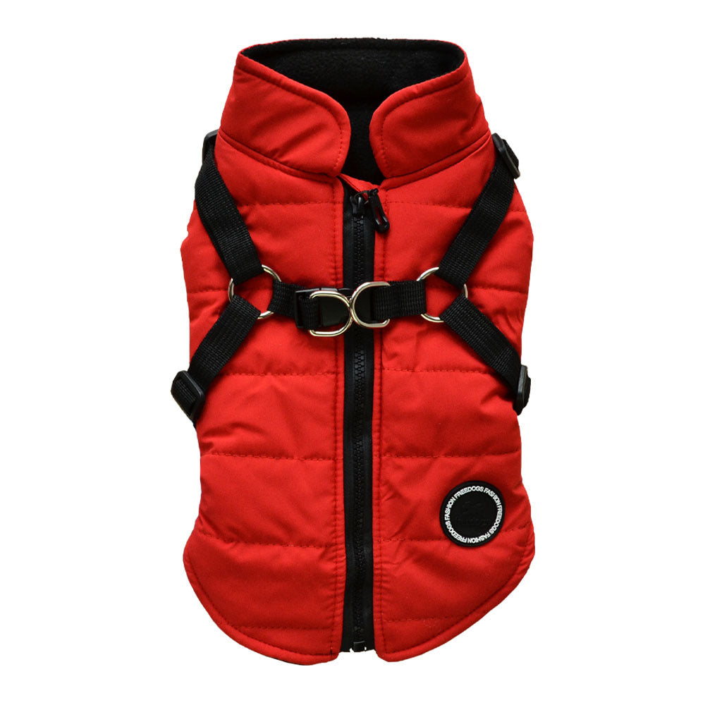 Padded Dog Vest with Harness for Small and Medium Dogs - rarefrenchies 