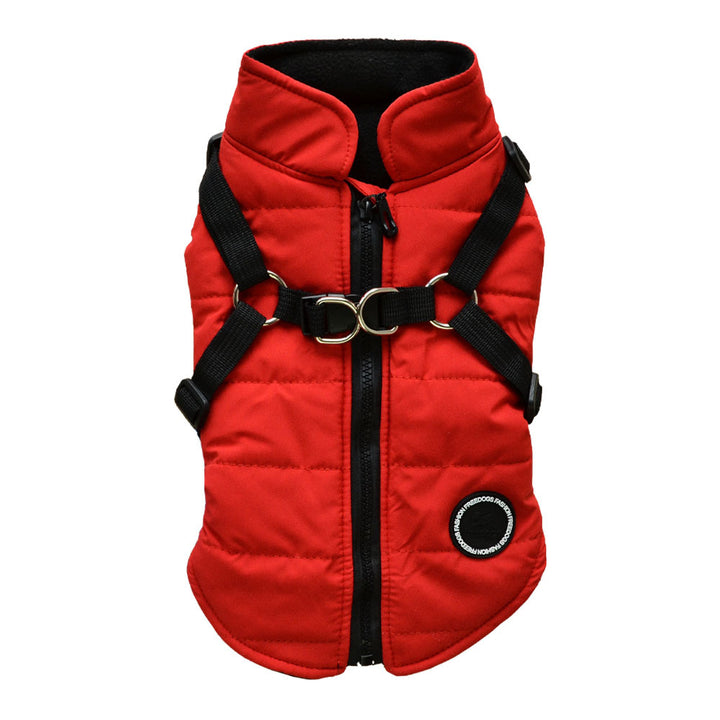 Padded Dog Vest with Harness for Small and Medium Dogs - rarefrenchies 