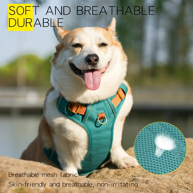 High-Quality Pet Chest Harness - rarefrenchies 