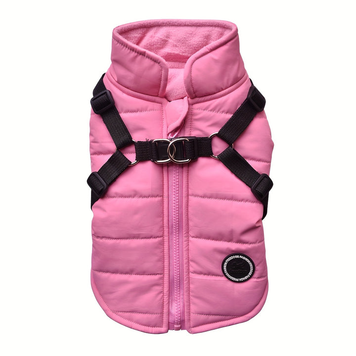 Padded Dog Vest with Harness for Small and Medium Dogs - rarefrenchies 